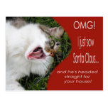 Funny Cat Christmas Postcard