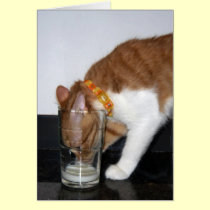 Funny Cat Drinking from Glass Blank Note Card cards