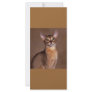 funny_cat_facial_expression_13 rack card design