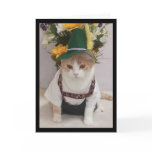 Funny Cat German Birthday Cards
