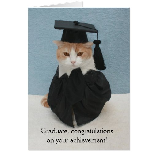 Funny Cat Graduation Card Zazzle