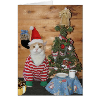 Funny Cat/Kitty Christmas Morning Greeting Cards