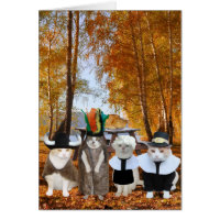 Funny Cat Lover Thanksgiving Card
