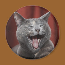 Funny cat magnets by iiiyaaa Funny cat magnets