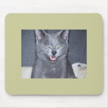 Funny Cat mousepads