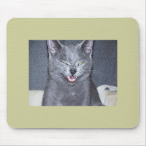 Funny Cat mousepads