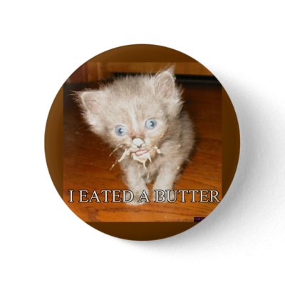 Funny cat pin Pinback button