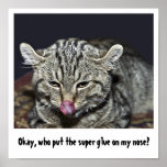 Funny Cat Poster