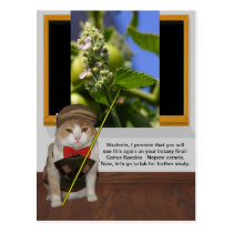 Funny Cat Professor postcards