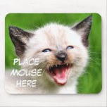 Funny Cat Siamese Kitten Place Mouse Here Mousepad