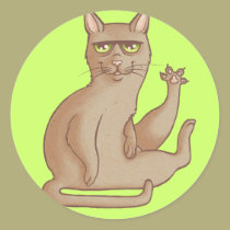 Funny Cat stickers