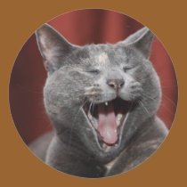 Funny cat stickers by iiiyaaa Funny cat stickers