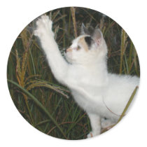 FUNNY CAT stickers by MAPASUE FUNNY CAT stickers