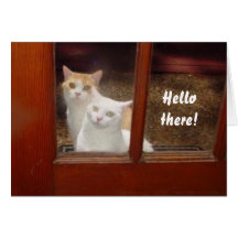 Funny Cats Notecard