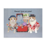 Funny Cats on Cruise Post Cards