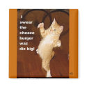 Funny Catz magnet