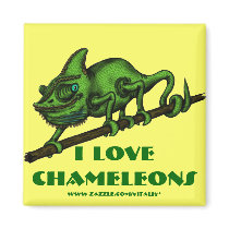 Funny chameleon magnet