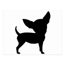 Funny Chihuahua Post Card