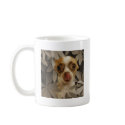 Funny Chihuahua Puppy (Cream/Brown) Tongue Poke mugs