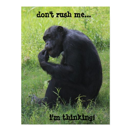[Image: funny_chimpanzee_poster_16x12_the_thinke...g=0xffffff]
