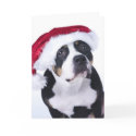 Funny Christmas Card