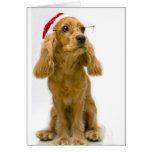 Funny Christmas Card