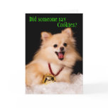 Funny Christmas card from the Dog