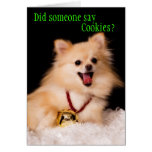 Funny Christmas card from the Dog