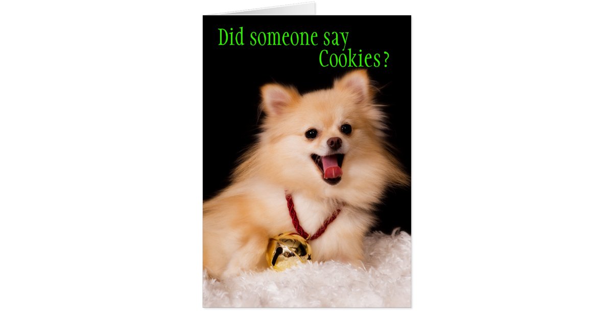 Funny Christmas card from the Dog | Zazzle