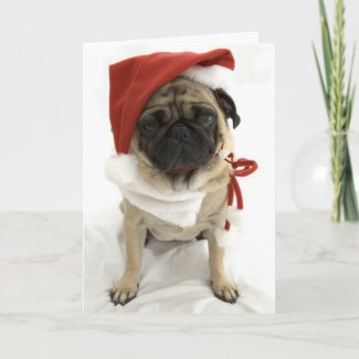 Funny Christmas Card - Puggy card