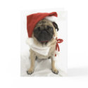 Funny Christmas Card - Puggy by xmasstore Funny Christmas Card - Puggy