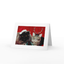 Funny Christmas Cards Humorous Holiday Cards