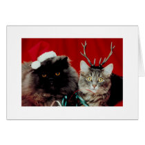 Funny Christmas Cards Humorous Holiday Cards