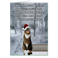 Funny Christmas cat Greeting Card