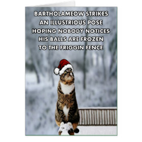 Funny Christmas cat Greeting Card