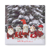 Funny Christmas Cats magnets