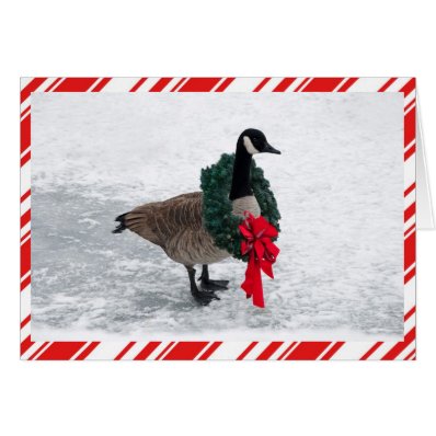 Funny Christmas Goose with Wreath Cards