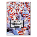Funny Christmas Turkey Cards