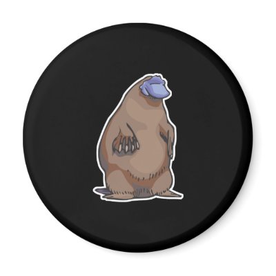 funny chubby platypus refrigerator magnet by doonidesignsanimals