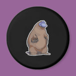 funny chubby platypus