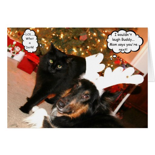 funny-collie-black-cat-christmas-card-2-zazzle