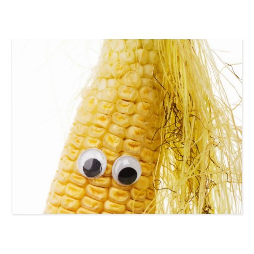 Funny Corn With Eye Postcard Zazzle