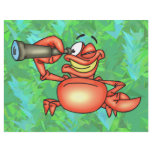 Funny Crab Spy flyers