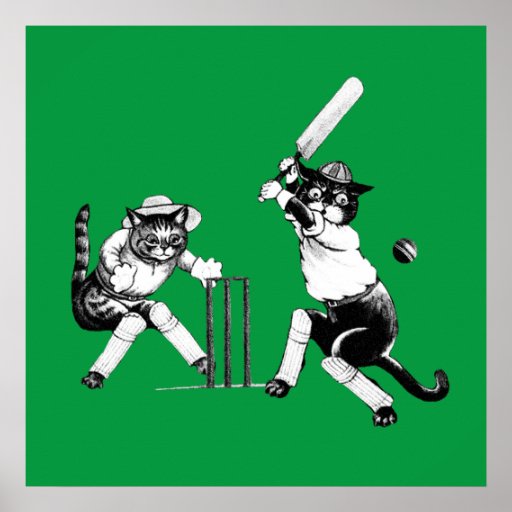 Funny cricketing cat poster Zazzle