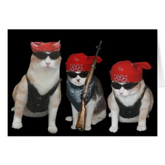 Funny, customizable Biker Cats Birthday Greeting Card
