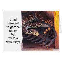 Funny Cute Herp Friendship - Sonoran Gopher Snake Card