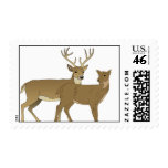 Funny Deer Rut is in the Air Postage