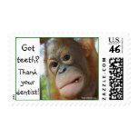 Funny Dentist Appreciation Postage Stamp