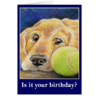 Funny dog birthday or other occasion card
