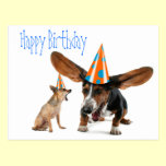 Funny Dog Birthday postcards